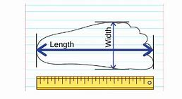 Image result for Foot Measure