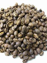 Image result for Arabica Coffee Kenya