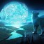 Image result for Lone Wolf Under the Moon
