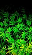 Image result for Dope Weed Wallpapers