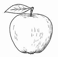 Image result for Hand Drawn Apple Vector Line