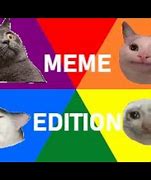 Image result for Cat Memes 2019