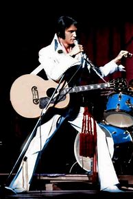 Image result for Elvis Presley Concert Pictures