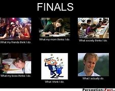 Image result for Funny Memes About Finals Week