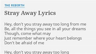 Image result for Stray Away
