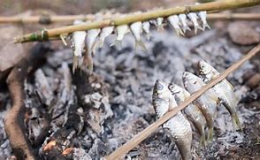 Image result for Cooking Fish Over Open Fire