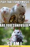 Image result for Cute Mouse Meme