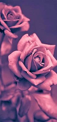 Image result for Beautiful iPhone 7 Wallpaper