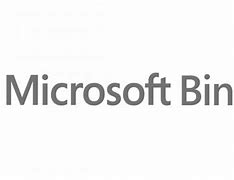 Image result for Microsoft Bing Logo Histo