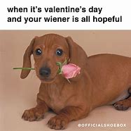 Image result for Valentine's Day Memes Funny