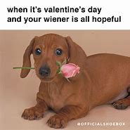 Image result for Cute Valentine's Day Memes Funny