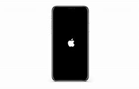 Image result for iPhone1,2 Pro Max
