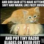 Image result for Best Cat Memes of All Time