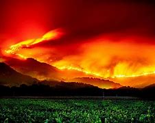 Image result for Glass Fire Napa Valley