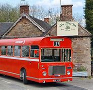 Image result for Ye Old Yew Tree Cauldon Low