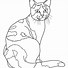 Image result for Sad Calico Cat