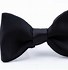 Image result for Bow Tie Pics