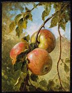 Image result for Apple Fruit Art Prints
