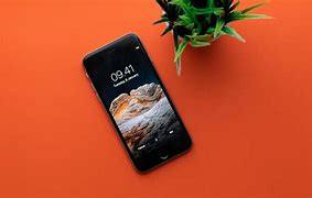 Image result for Pictures Taken by iPhone 6s