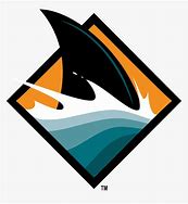 Image result for San Jose Sharks Fin Logo