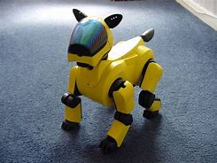 Image result for Aibo Different Colors