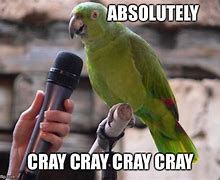 Image result for Cray Caray Meme
