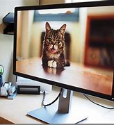 Image result for LG Monitor 24 Inch Red and Black