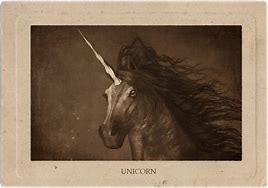 Image result for Mean Unicorn