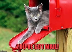 Image result for Mail Call Meme