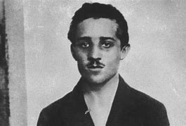 Image result for Gavrilo Princip WW1