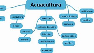 Image result for acuicultuta