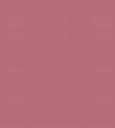 Image result for Light Pink Rose Gold Solid Background