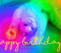 Image result for Animated Birthday Cat Meme