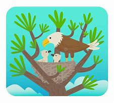 Image result for Eagle On a Nest Cartoon Clip Art