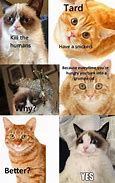 Image result for 100 Funny Memes