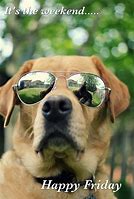 Image result for Happy Friday Dog Quotes