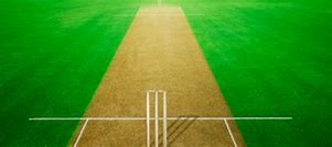 Image result for Grass-Cutting Before Cricket Field