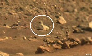 Image result for Penguin On Mars