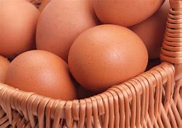Image result for Photos of Eggs