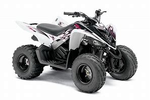 Image result for Yamaha Raptor 90 ATV
