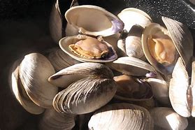 Image result for Pacific Seafood Chopped Ocean Quahog Clams