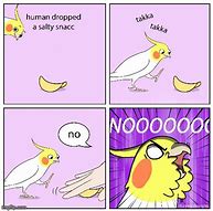 Image result for Cute Bird Memes