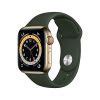 Image result for Apple Watch Series 6 LTE