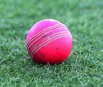 Image result for Cricket Swingball Stumps
