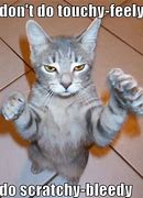 Image result for Inappropriate Cat Memes