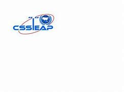 Image result for Cssteap High Resolution Logo