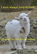 Image result for Cute Goat Quotes