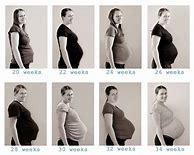 Image result for 26 Weeks Pregnant with Triplets