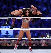 Image result for Brie and Nikki Bella Fight
