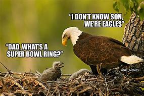 Image result for Eagles Lose Meme